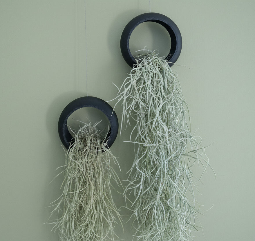 Hängeschalen Halbschalen