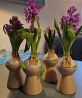 Blumenzwiebel Vase