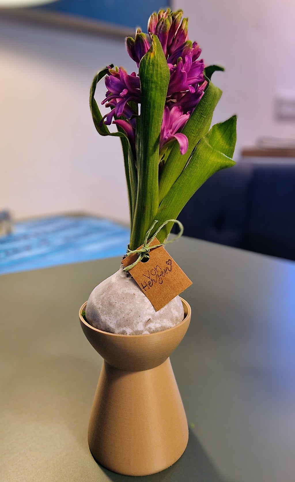 Blumenzwiebel Vase