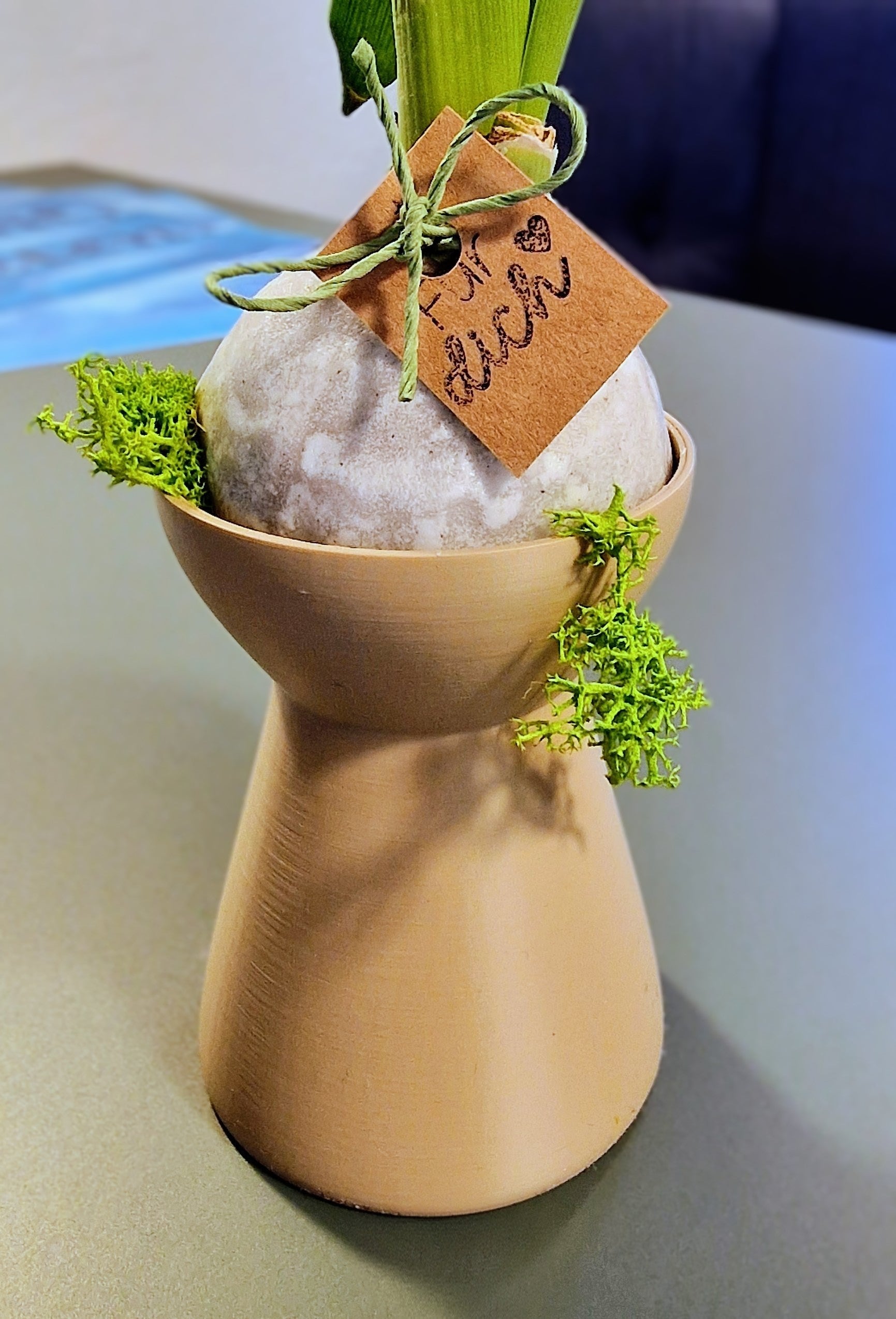 Blumenzwiebel Vase