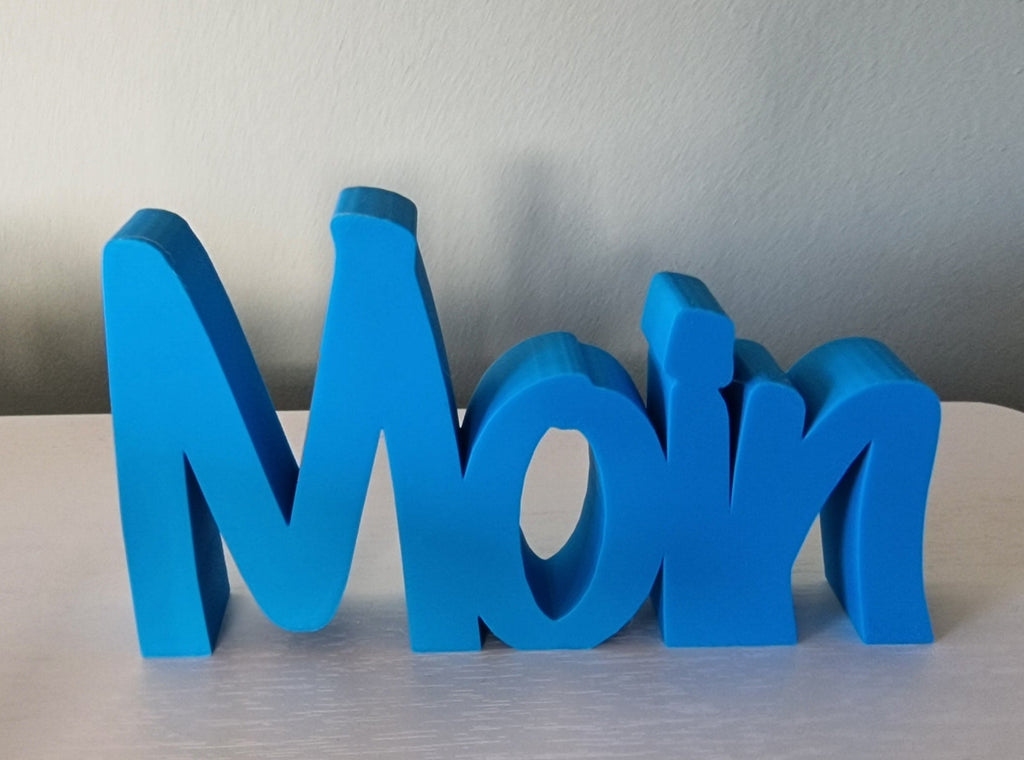 Schriftzug MOIN unifarben