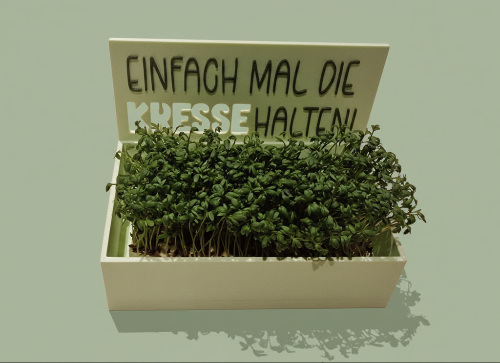 Kästchen: Einfach mal die Kresse halten